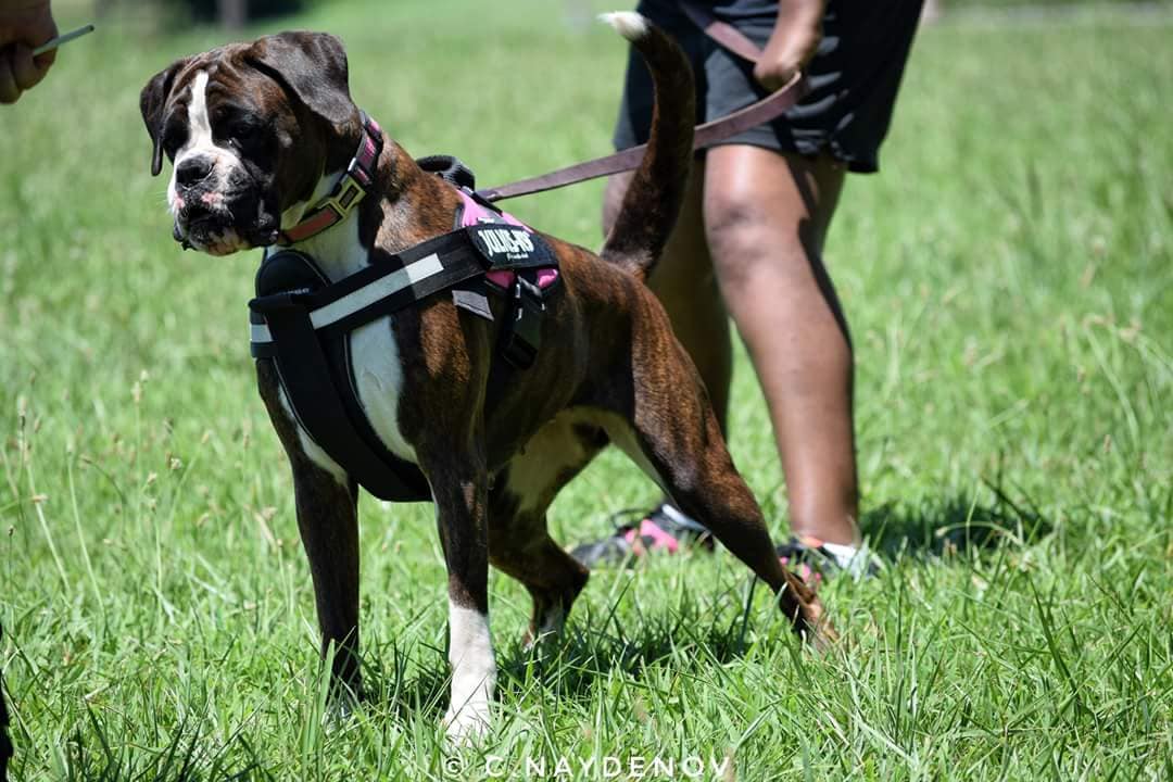 Weekly Training Notes 7/8/2018