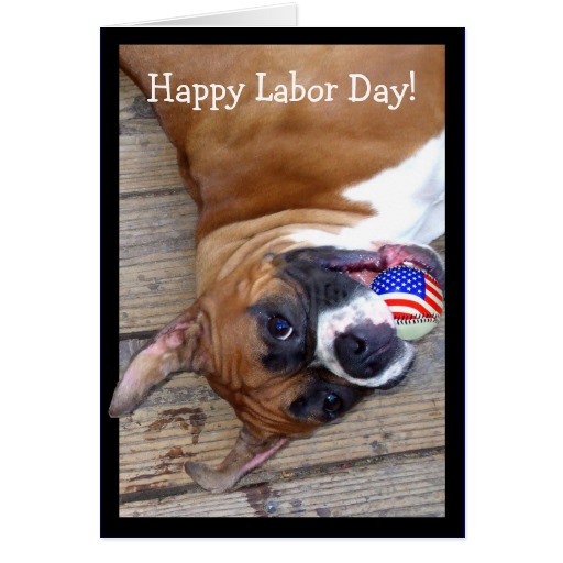 Weekly Training Notes 9/2/2018