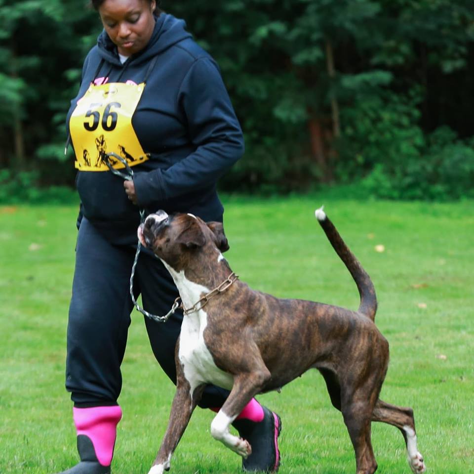 2018 USA BOX Working Nationals!