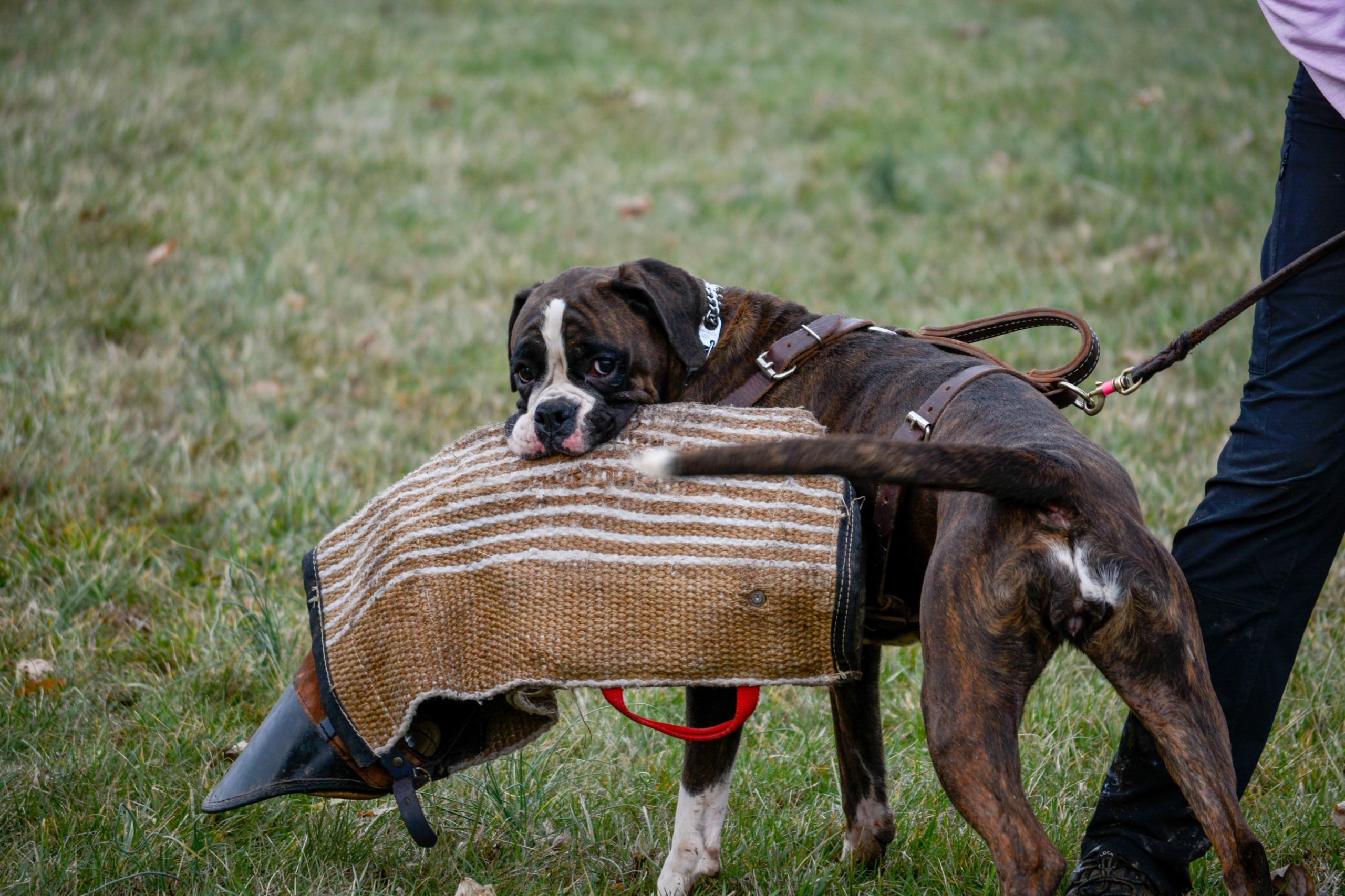 Pictures from the Tennessee training 2.16.2019- Saturday