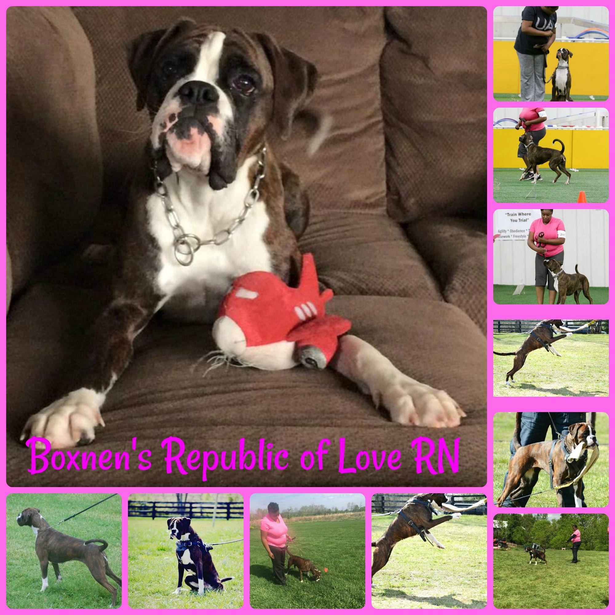 Ok I’ve had enough 2020…