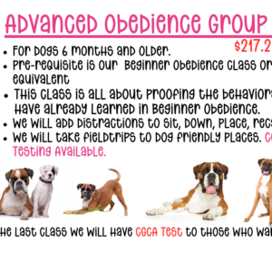 Advanced Obedience Group Class