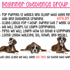 Beginner Obedience Group Class