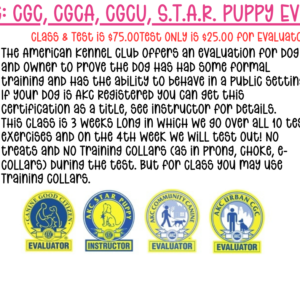 AKC Canine Good Citizen Program
