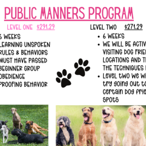 Public Manners Program
