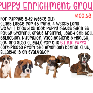 Puppy Enrichment Group Class